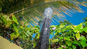 A tall, narrow structure with water cascading down its center, surrounded by lush green foliage and a clear blue sky. - Wild Lotus Glamping (Bequia Island)