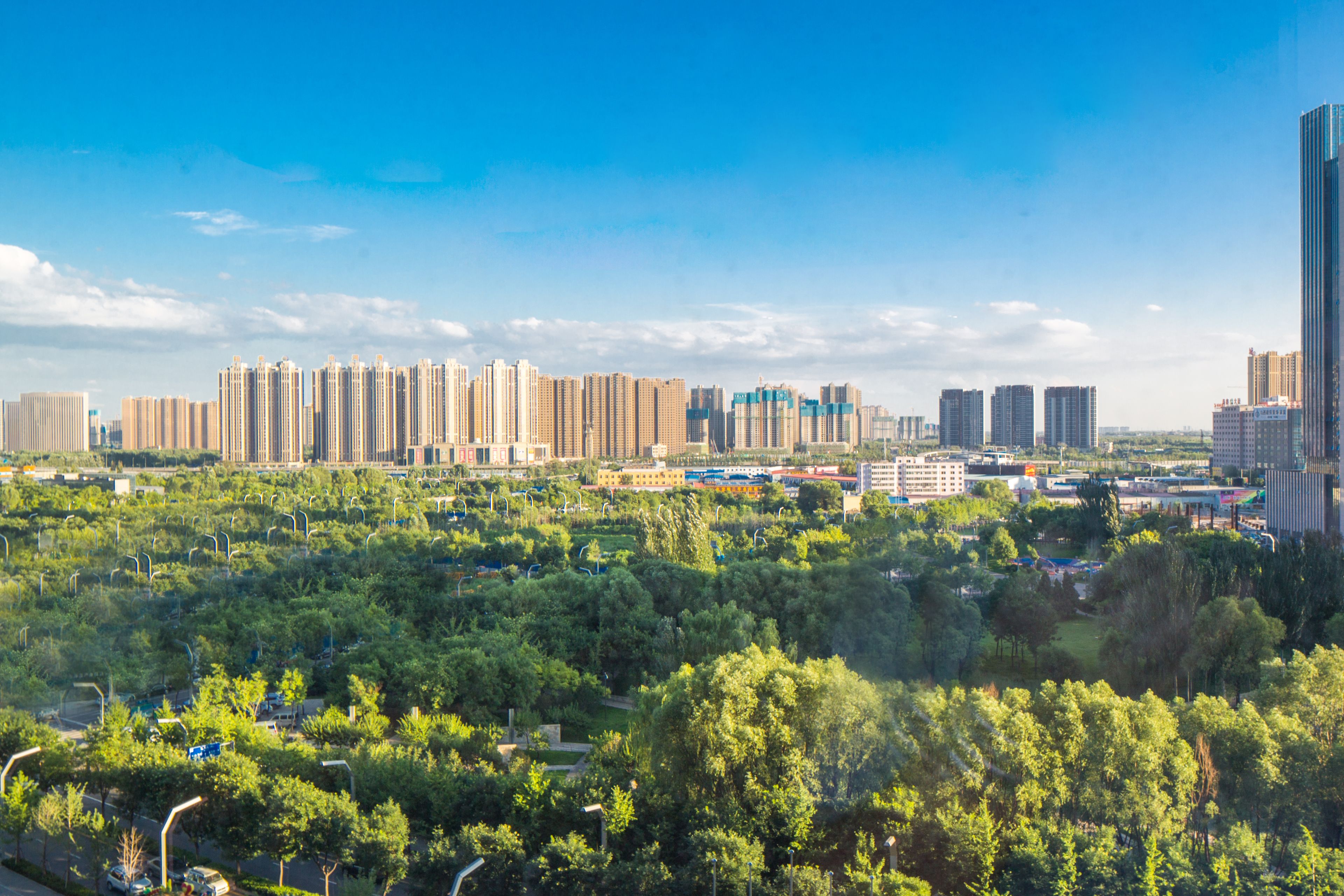 Un paysage urbain avec de hauts immeubles et un espace vert aménagé en parc.