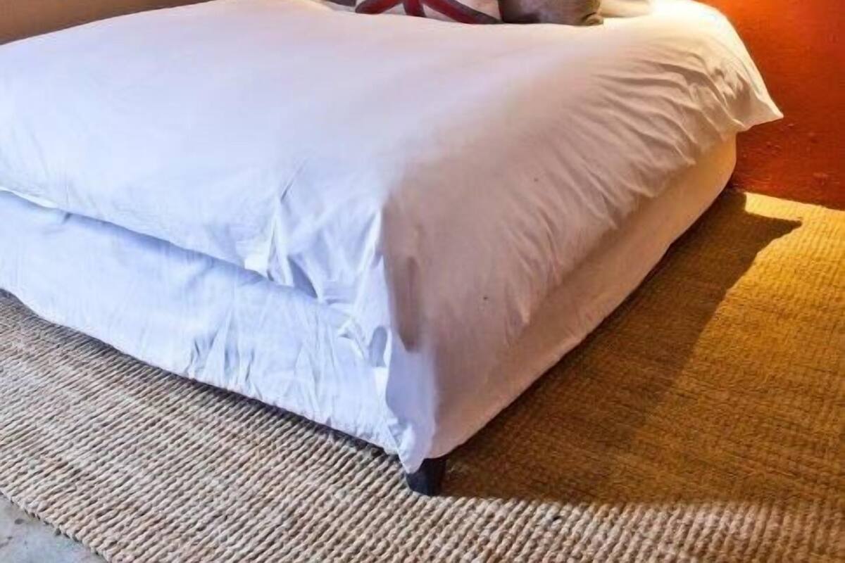 Un dormitorio moderno con una cama grande, un muro decorativo con pájaros y un diseño de techo singular.