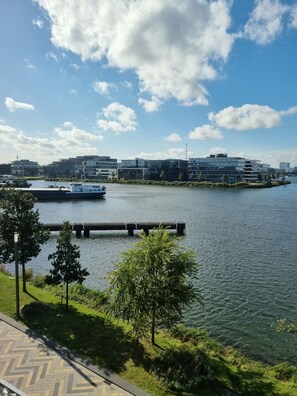 Vistas desde la habitación