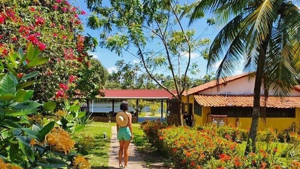 A pathway leading to a yellow building with a red roof, surrounded by lush greenery and flowering plants. - Pousada Murici (Barreirinhas)
