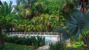 A lush garden with a pool, surrounded by various tropical plants and palm trees. - Pousada Murici (Barreirinhas)
