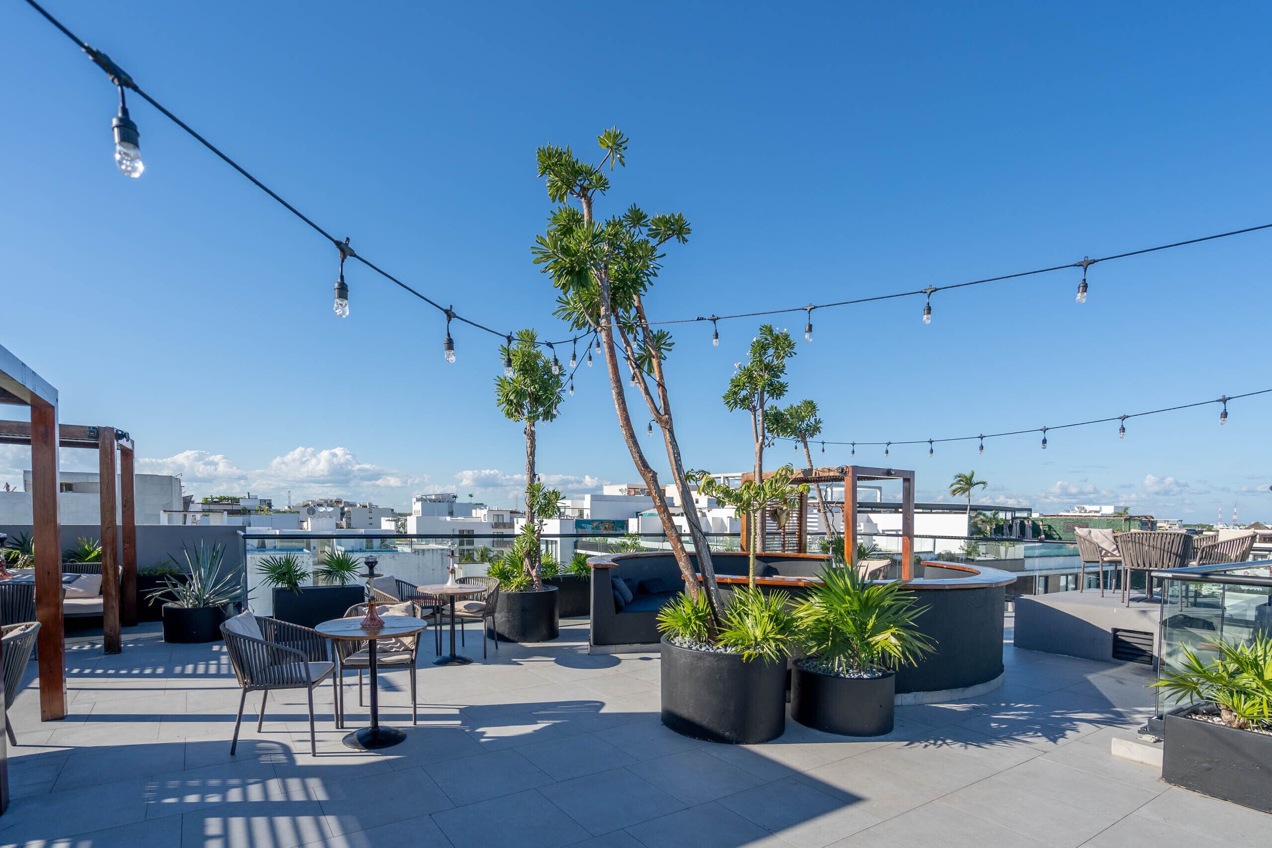 Terraza al aire libre en la azotea con asientos, plantas en macetas y luces colgantes bajo un cielo despejado.