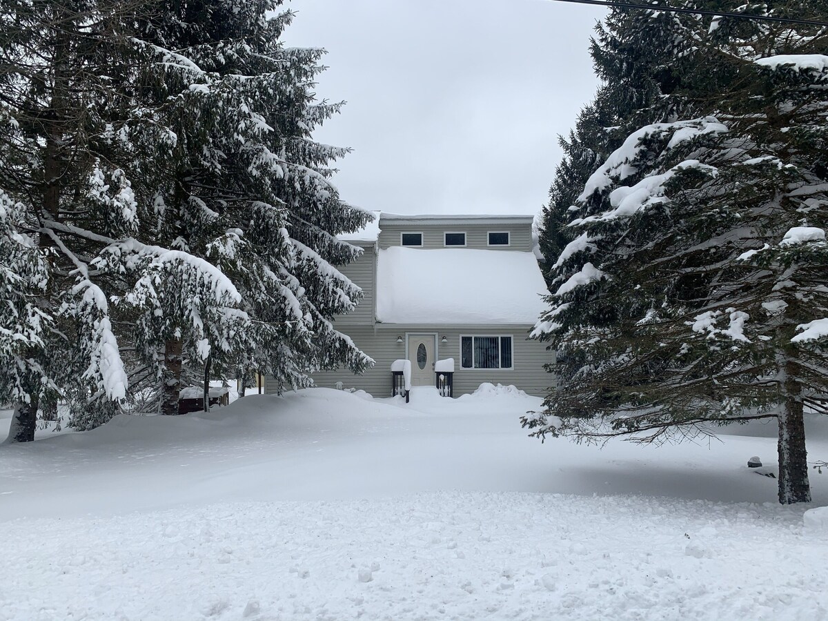 Imagen de perfil del propietario o de la propietaria