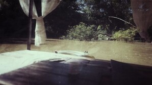 A bed with a mosquito net and a view of a river. - Brookhouse at Khaoyai (Pak Chong)