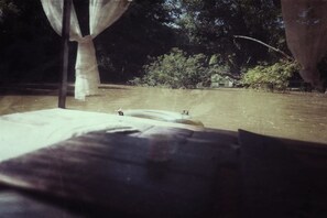 Terrace/patio - Brookhouse at Khaoyai (Pak Chong)