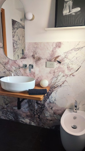 Shower, hair dryer, bidet, towels