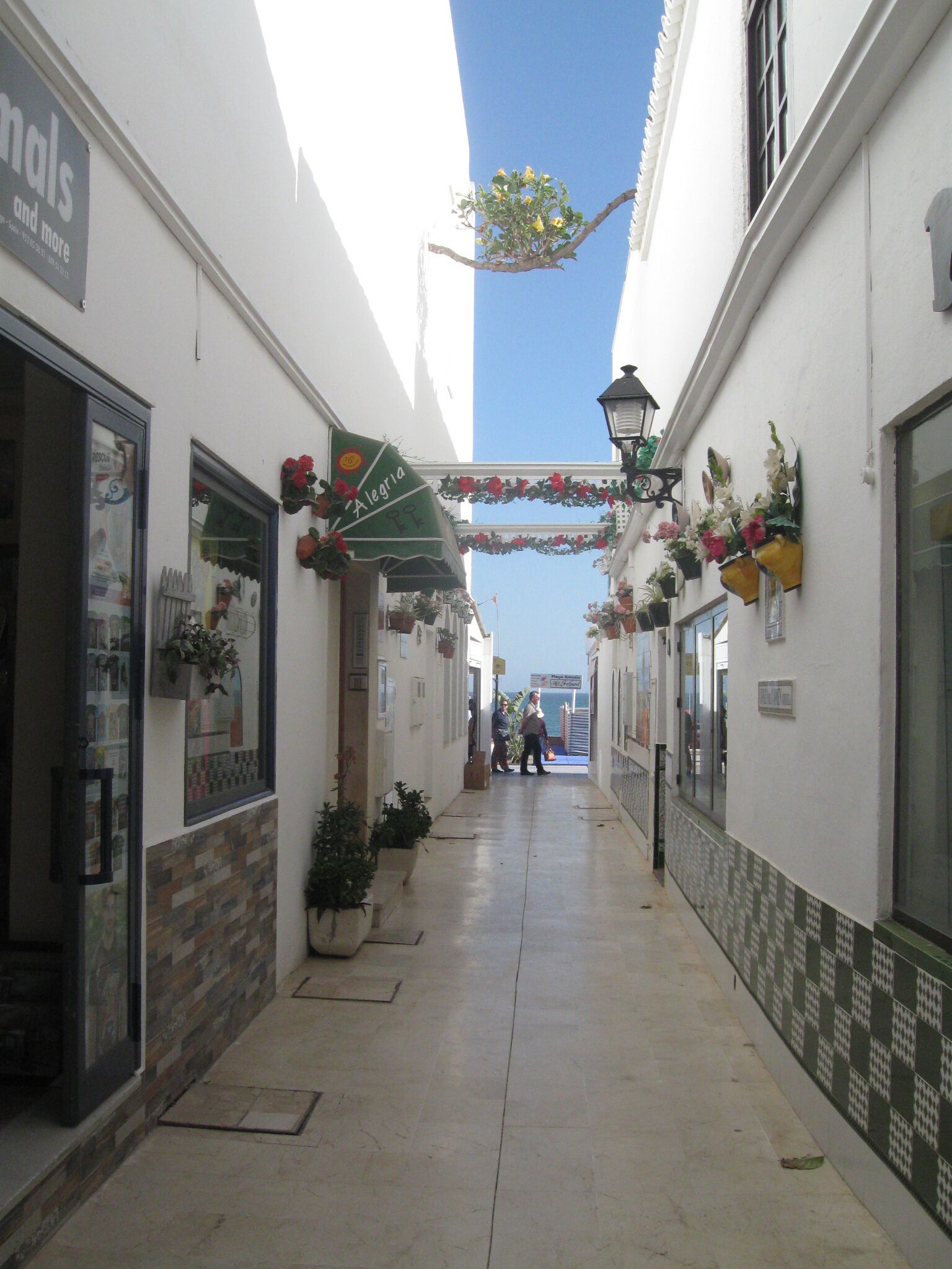A narrow alleyway with shops on either side, potted plants, and hanging flower baskets.