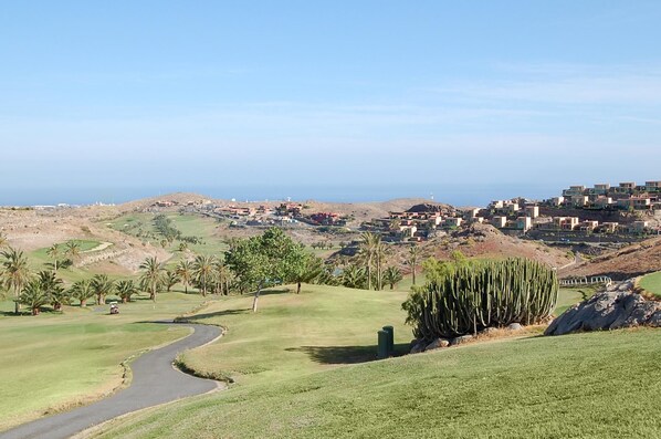 A golf course with a winding path, palm trees, and a distant town with buildings.