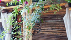 A wooden structure with purple flowers and green leaves, a wooden bench, and a rustic wall in the background.