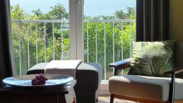 Smart TV, fireplace, books, music library