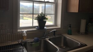Una cocina con ventana, un lavabo y una planta en maceta.