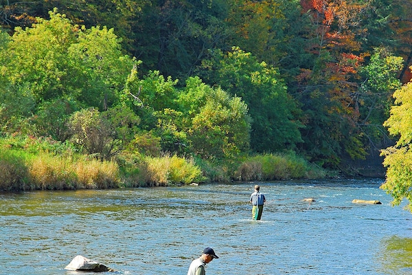 Fly Fishing: Rainbow, Brown & Brook Trout (All game fish: Catch & release only)