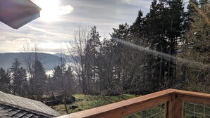 Une terrasse en bois, dotée d’une rambarde en métal, offre une vue sur une zone boisée, avec un lac et des montagnes qui se dessinent à l’horizon.