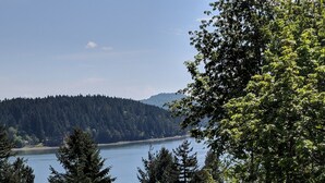 Une vue sur un lac entouré d’une forêt dense et sur une terrasse en bois.