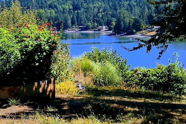Terrain de l’hébergement