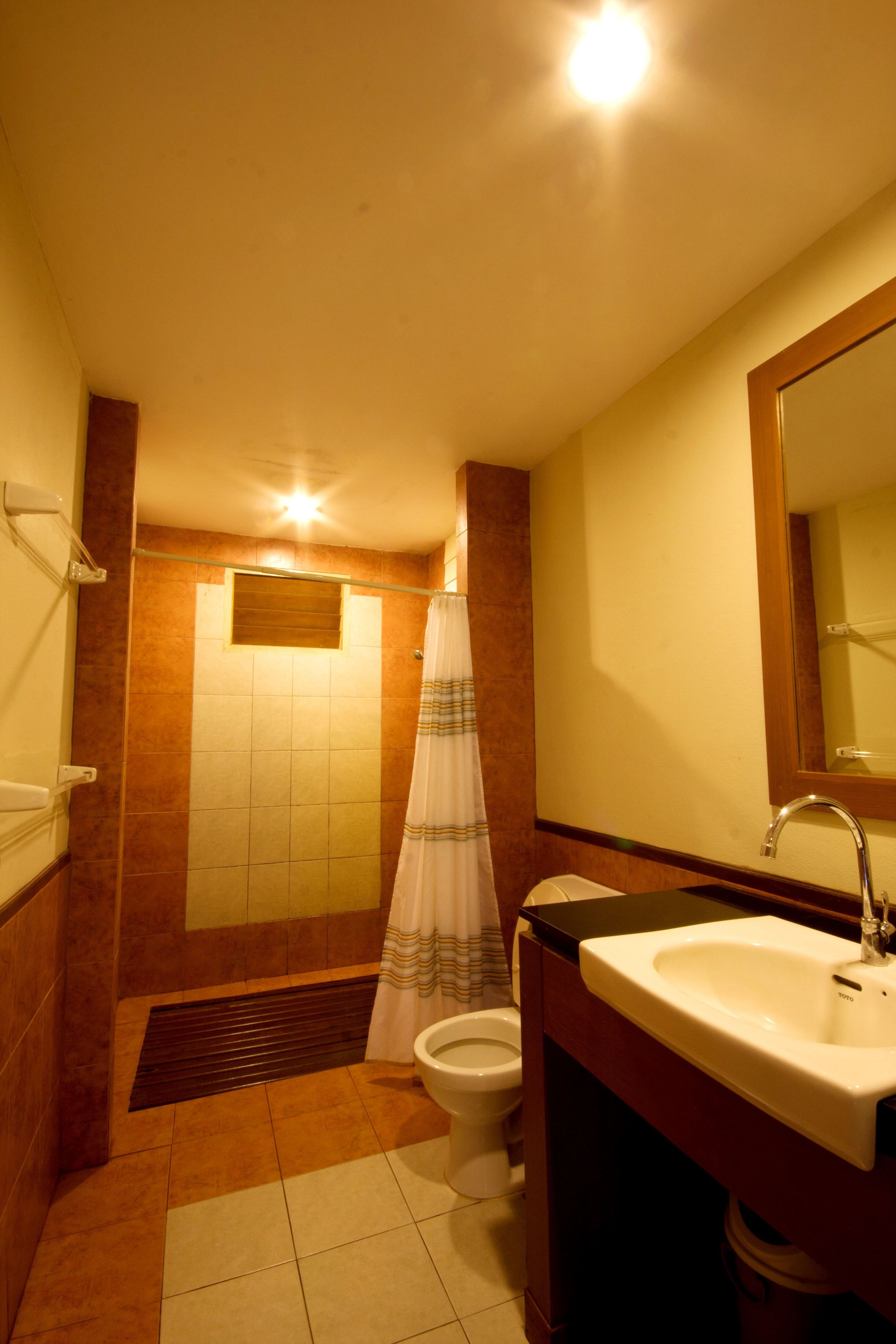 Un baño con ducha, inodoro, lavabo y espejo.