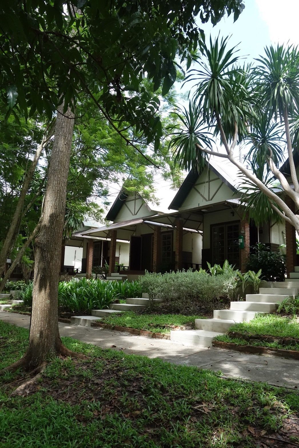 Standard Twin Room, 1 Bedroom, Garden View | View from room