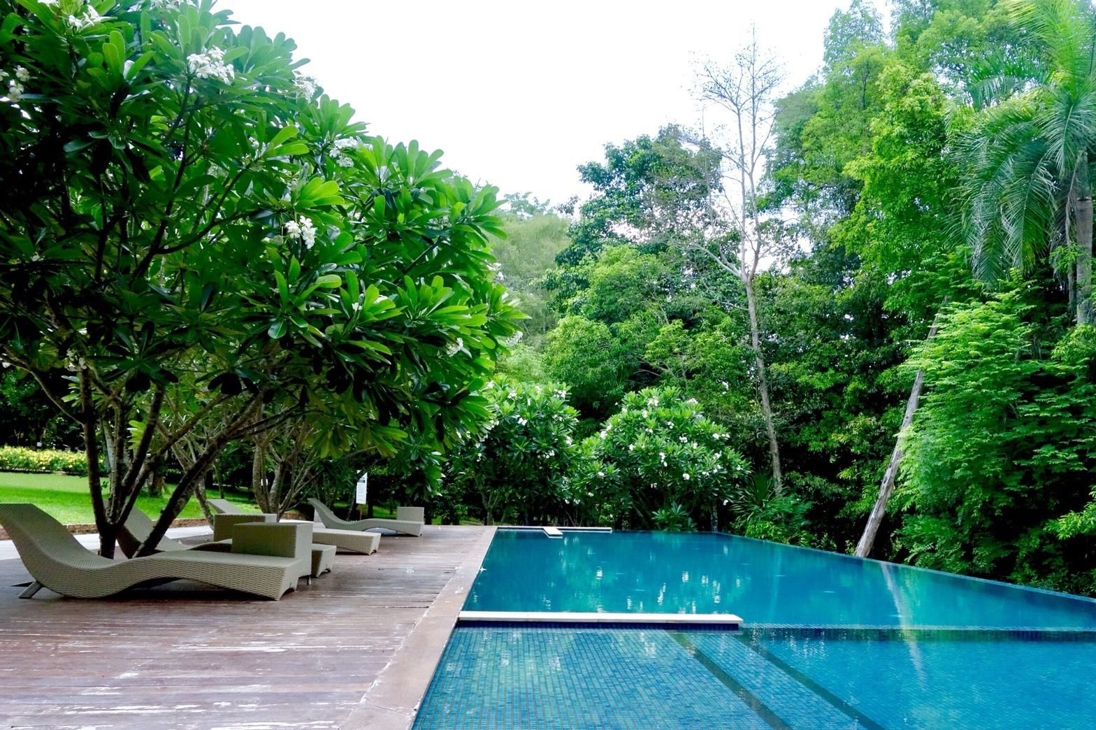 Outdoor pool, pool loungers