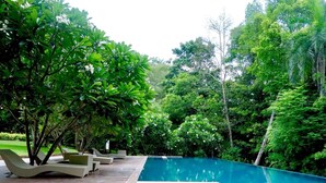 Una piscina con sillones de descanso y una terraza de madera, rodeada de abundante vegetación.