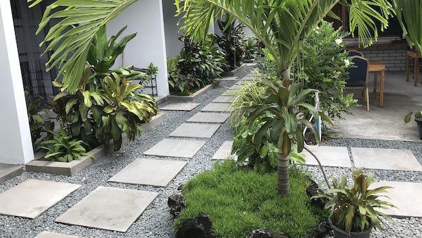 A pathway lined with potted plants and a palm tree, leading to a seating area with a table and chairs. - Royal Stay Inn (Thoddoo)