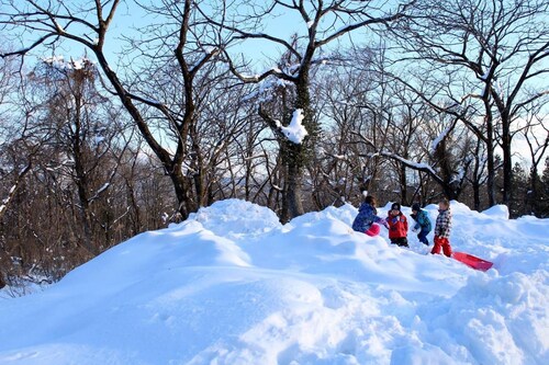 スノー スポーツとスキー