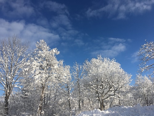 施設からの眺望