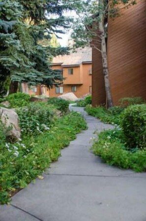 Property grounds - Snowflower #75 (Mammoth Lakes)