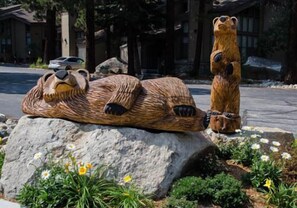 Facciata della struttura