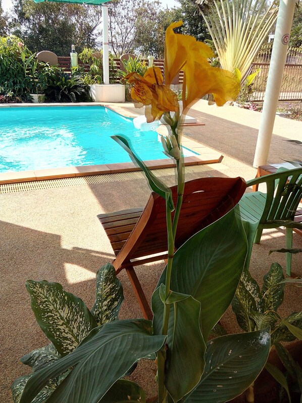 Piscine extérieure