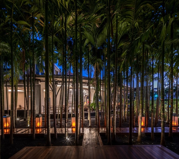 A wooden deck with tall palm trees and illuminated lanterns, leading to a building with a modern architectural style. - Areca Resort & Spa (Kathu)