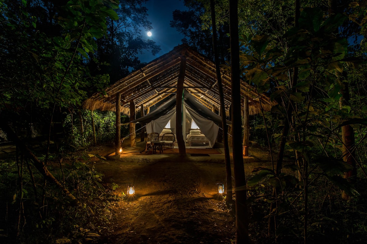 A thatched-roof structure with a central open area, surrounded by dense foliage.