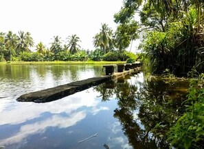 A calm water body with a stone bridge and lush greenery.