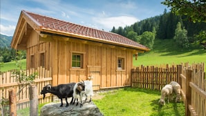 Une cabane en bois avec un toit en pente, entourée d’une clôture en bois et d’une zone herbeuse.