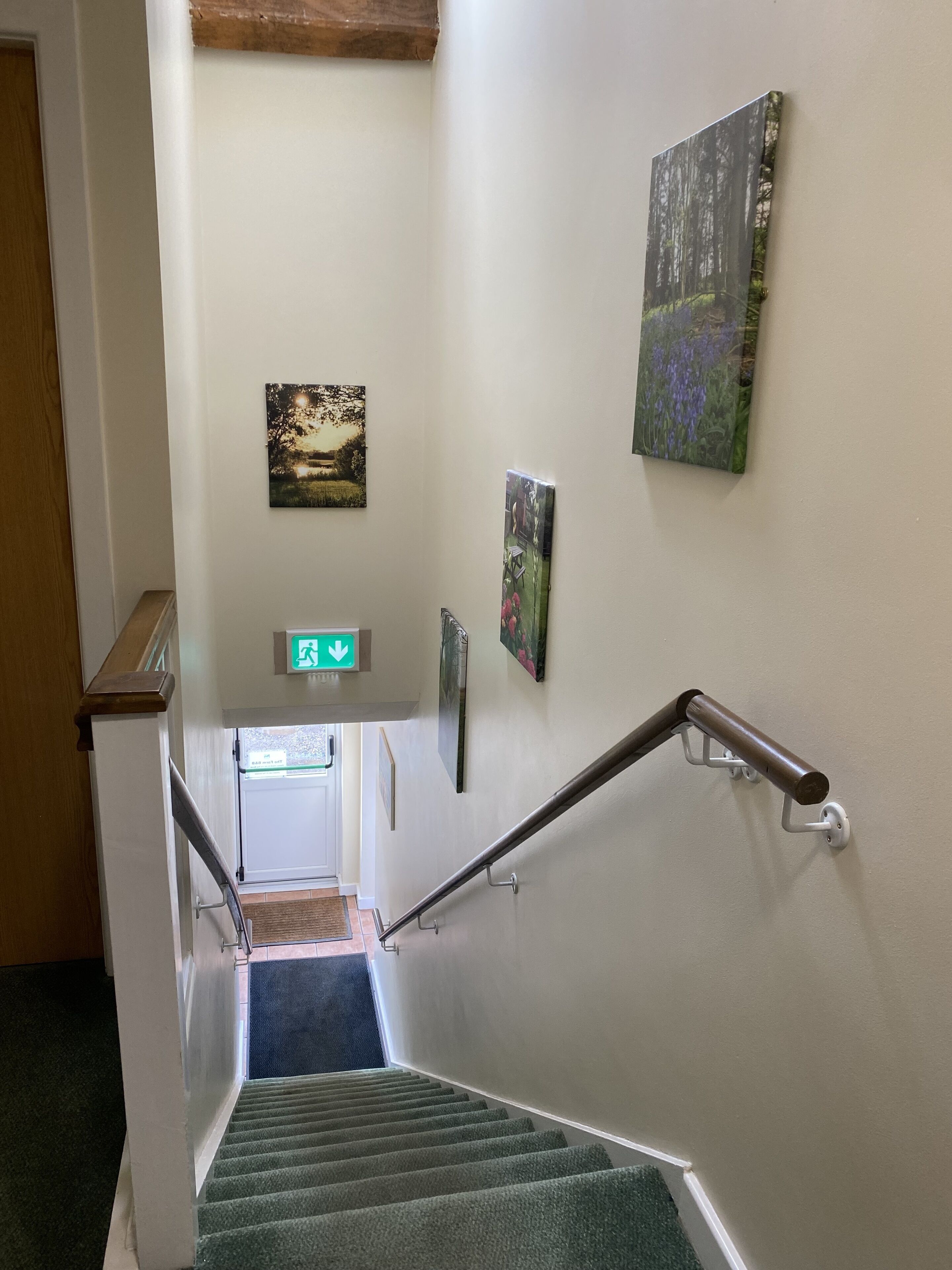 A staircase with a handrail, a green carpeted landing, and artwork on the walls.