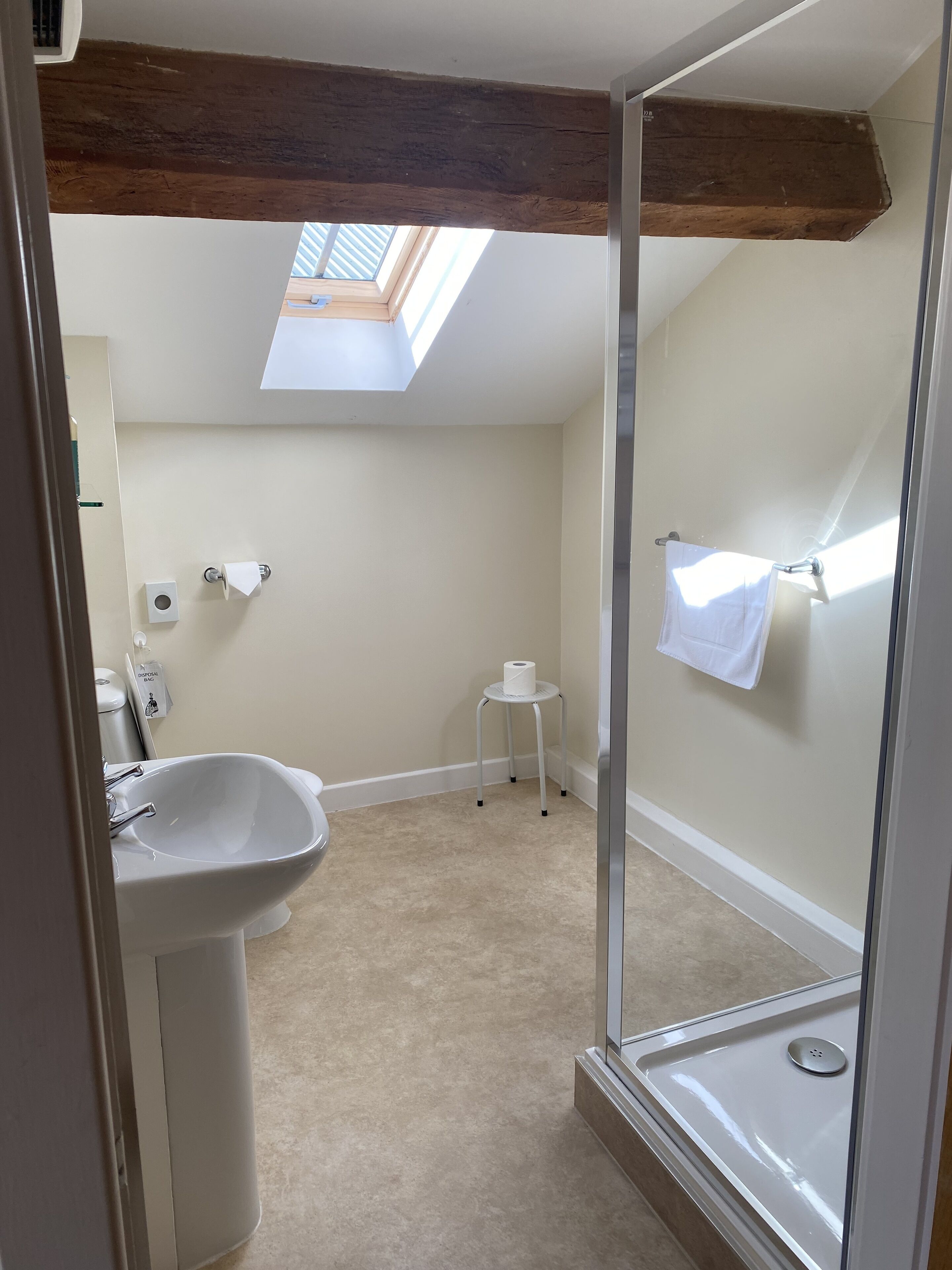 A bathroom with a skylight, a sink, a toilet, and a shower area.