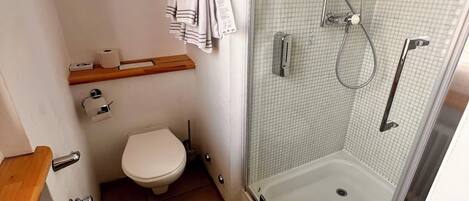 A compact bathroom with a toilet, a shower, and a sink.