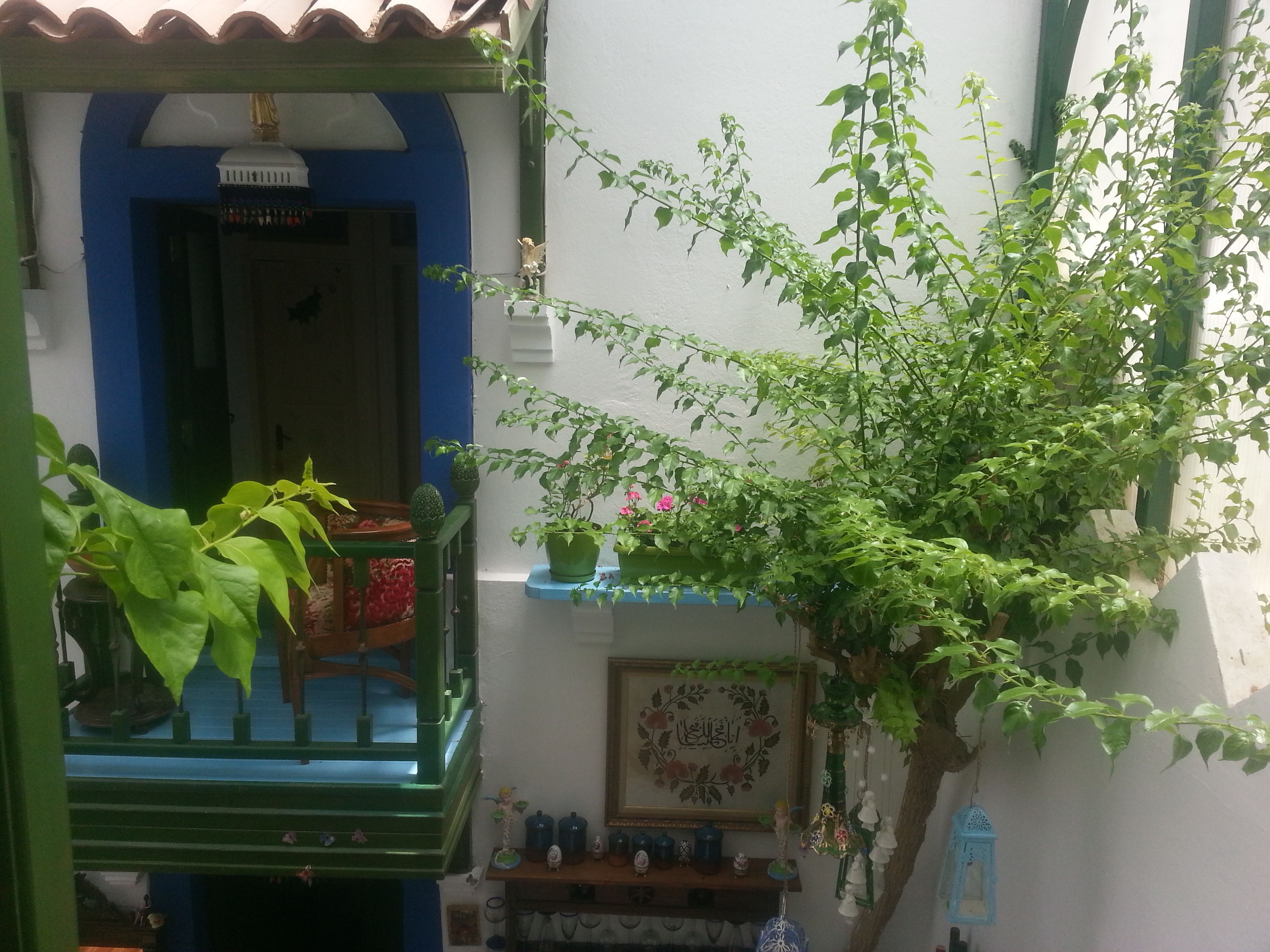 Foto - Cemil İpekçi Pension