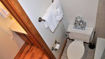A bathroom with a toilet, a roll of toilet paper, a plunger, and a towel hanging on a metal holder.
