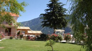 Vista des de l'allotjament