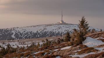 A snow-covered mountain with a tall tower and sparse trees.