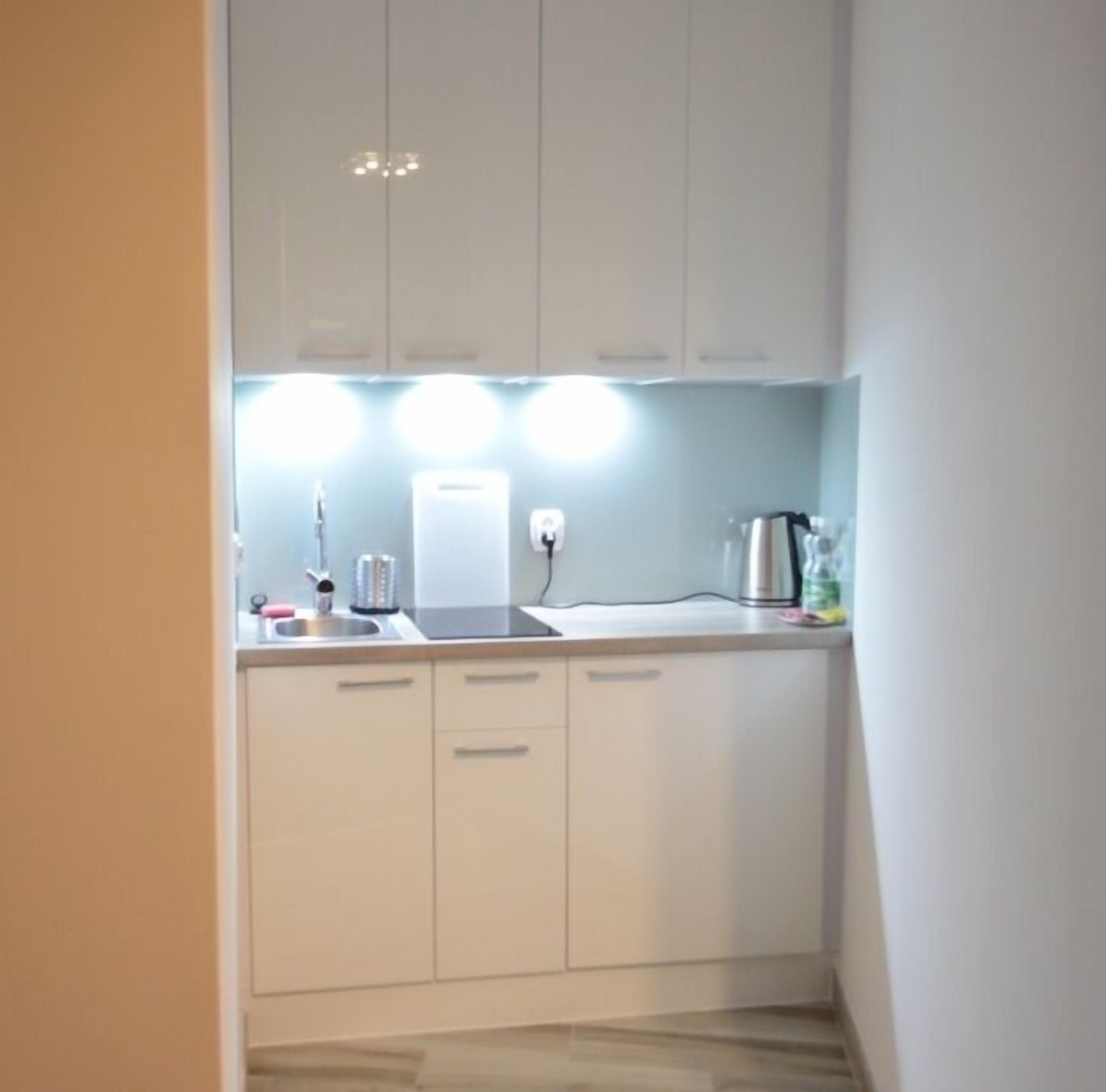 apartment (19b) | private kitchenette