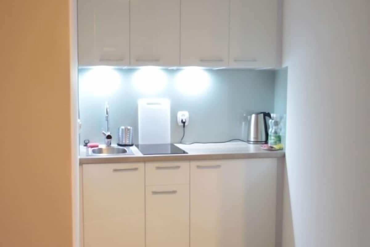 apartment (19b) | private kitchenette