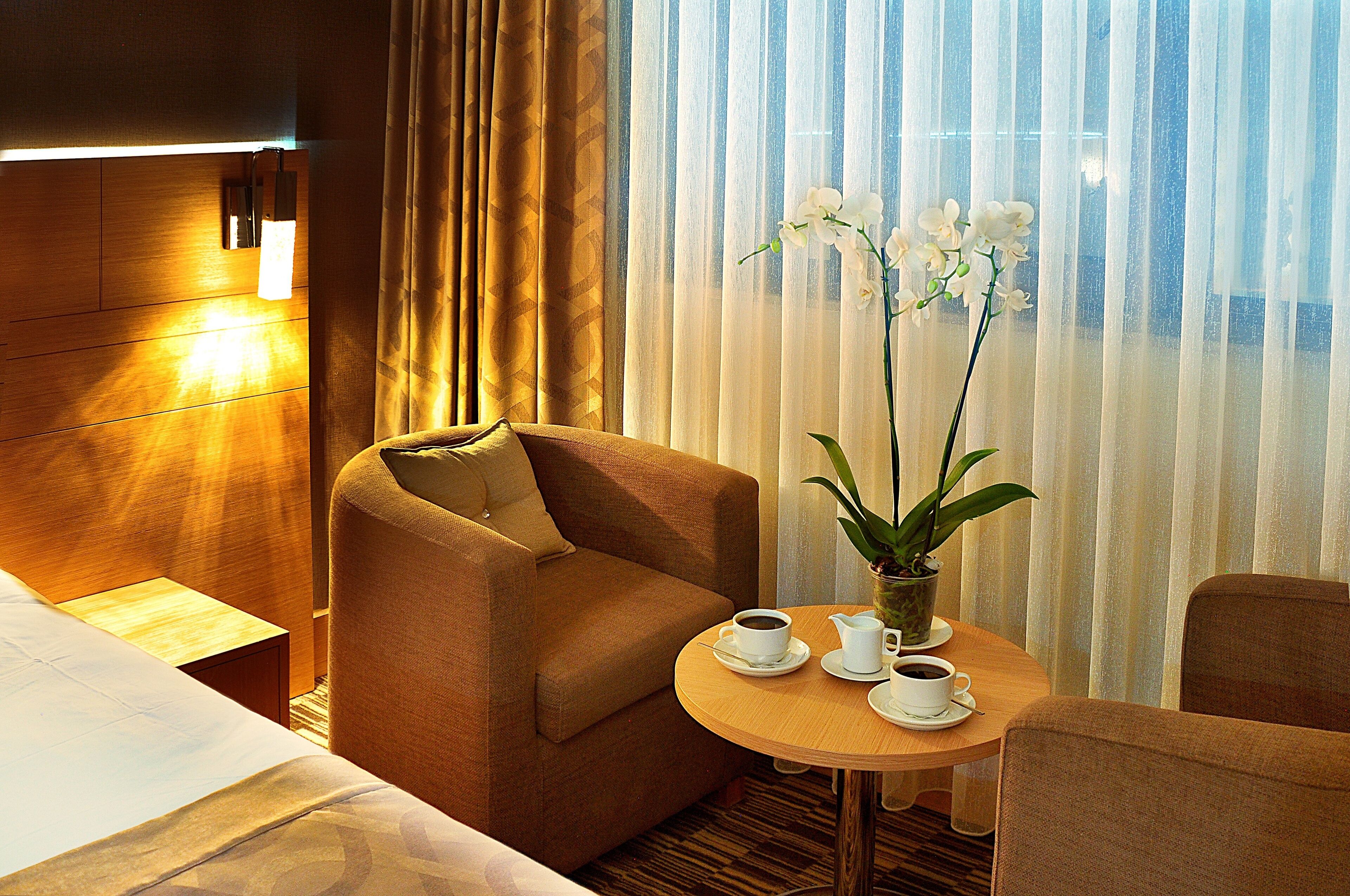 Foto - Starton Hotel