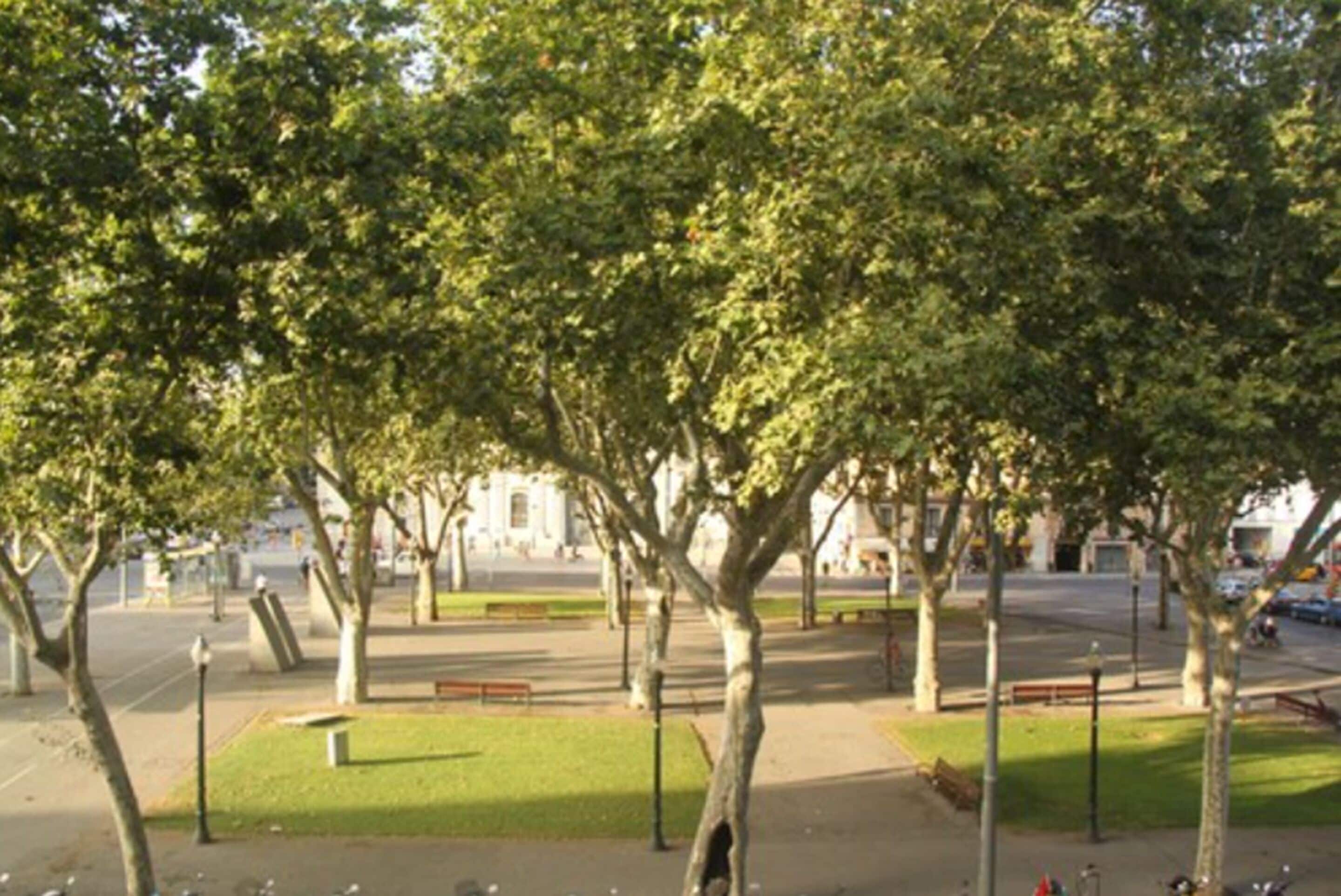 Photo - Som Nit Born