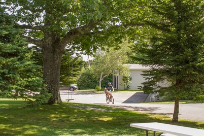 巴尔港汽车旅馆