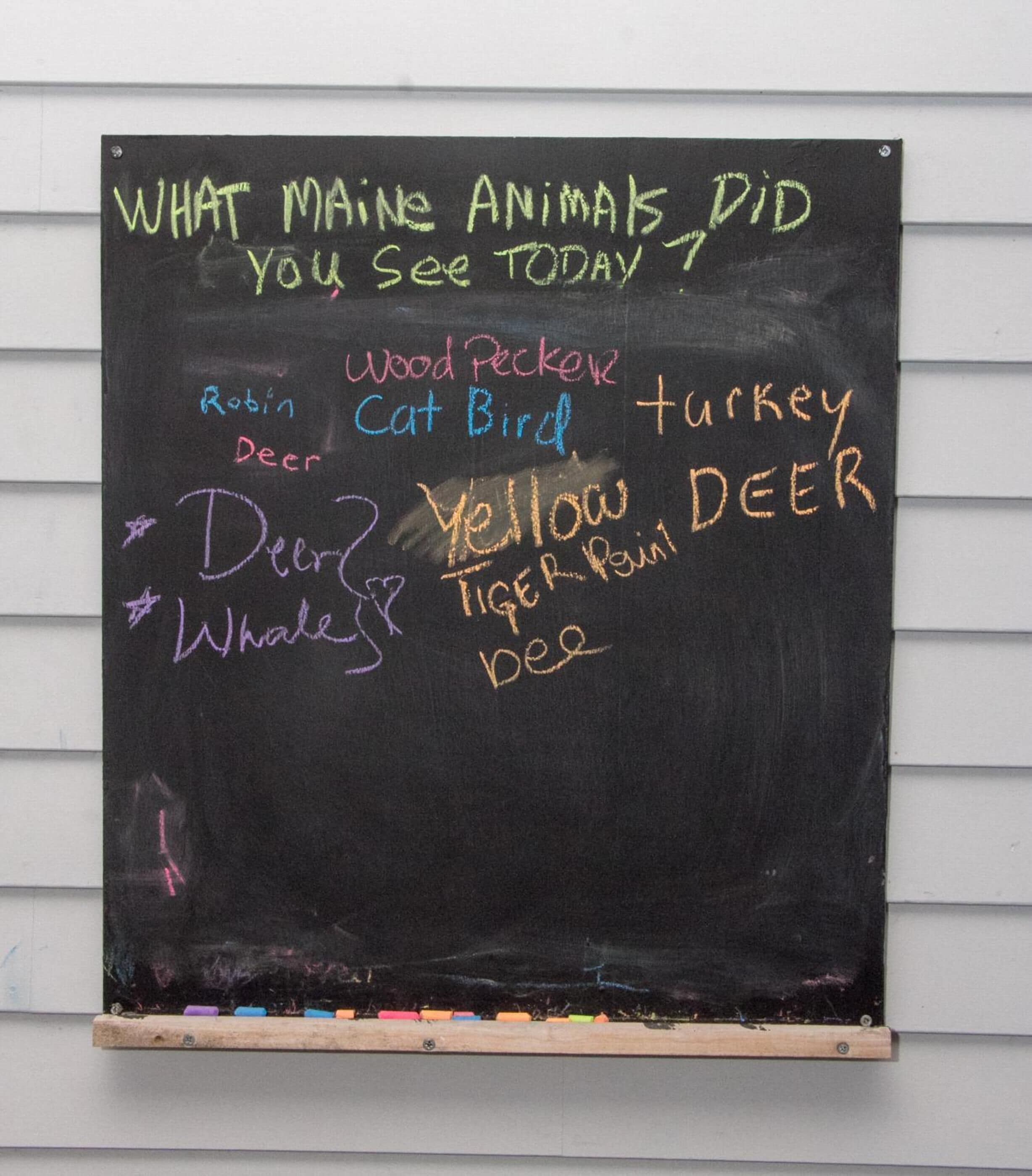 A blackboard with various animals written on it.
