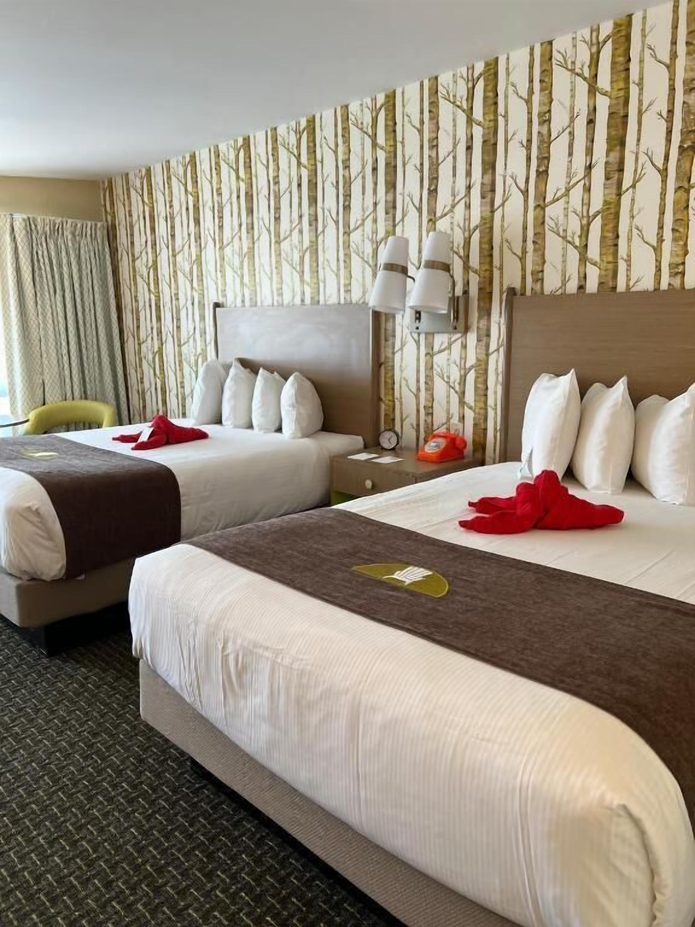 Une chambre d’hôtel avec deux lits, une tête de lit, une table de chevet avec une lampe et une chaise.