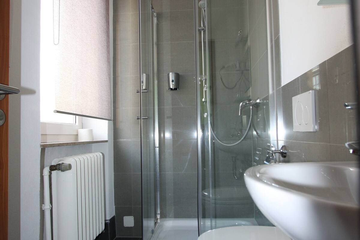 shower, free toiletries, hair dryer, towels