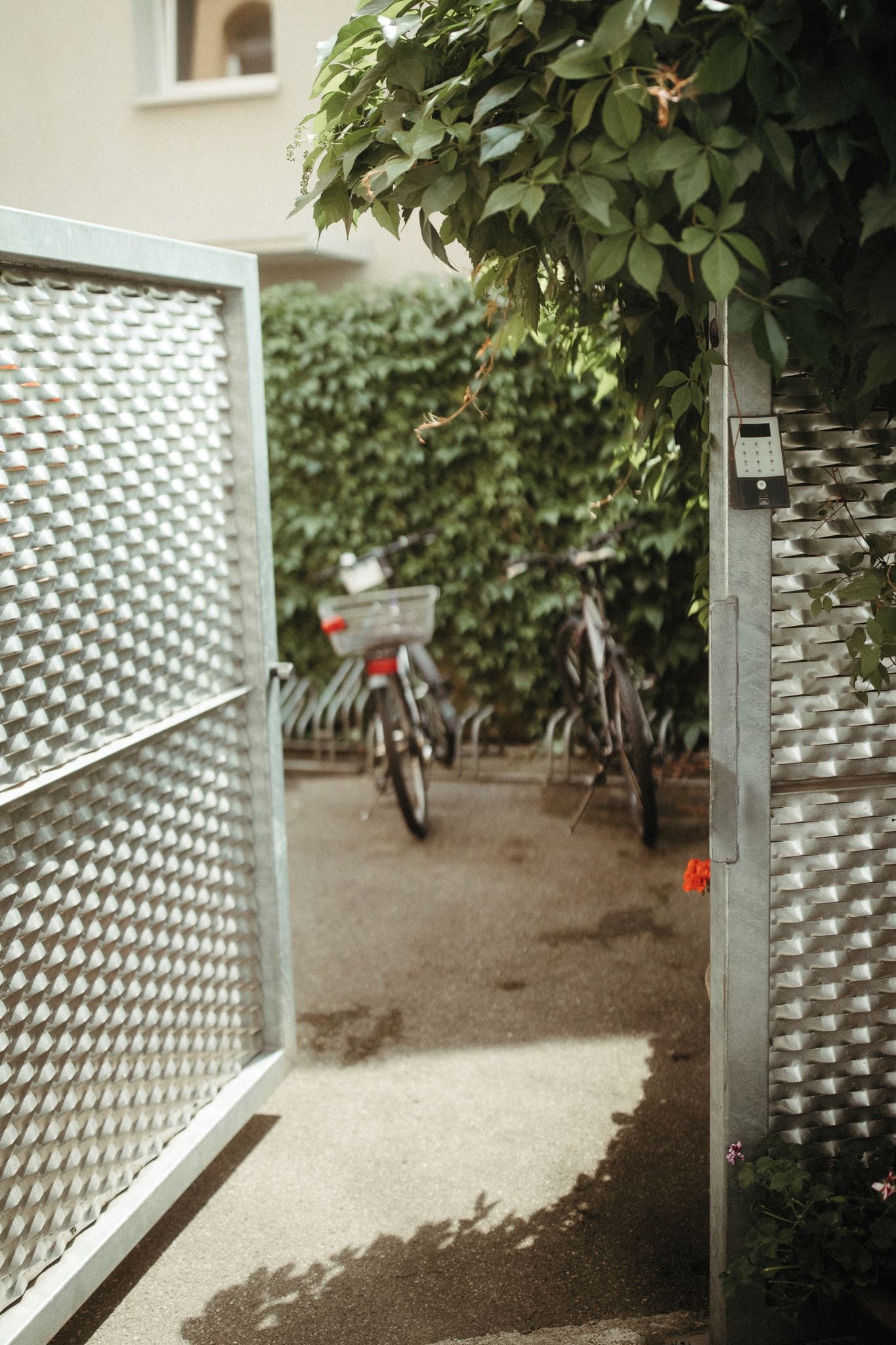 Une porte en métal avec un vélo garé à l’intérieur, une clôture en métal et une haie aux feuilles vertes.